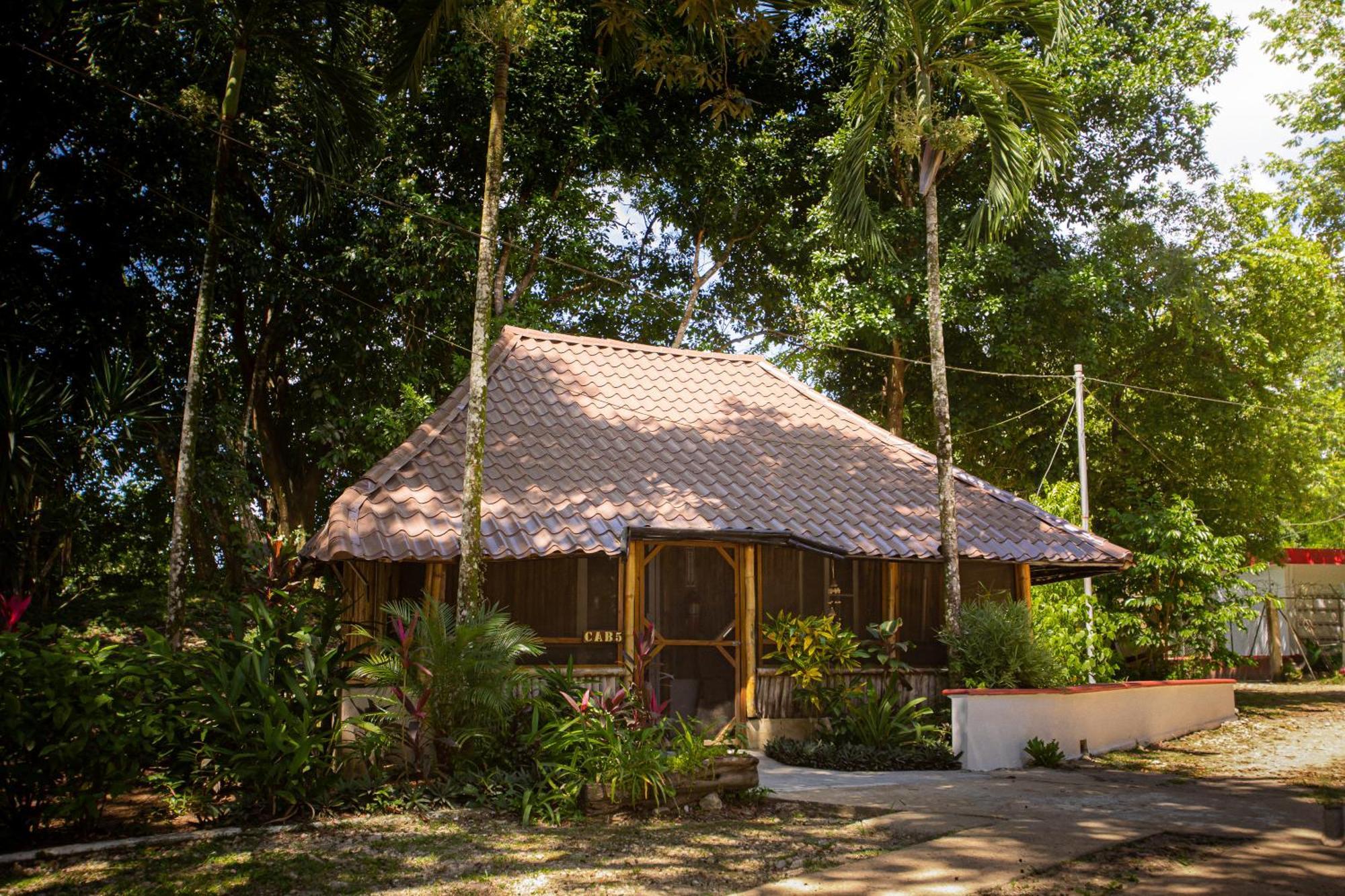Falling Leaves Lodge San Ignacio Exterior foto